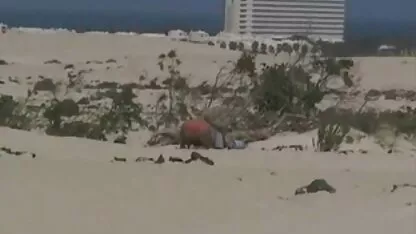 Papai fode ver vídeo caseiro pornô sua filha